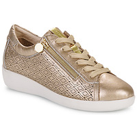 Sko Dame Lave sneakers Stonefly PASEO IV 29 LAMINATED LTH Guld