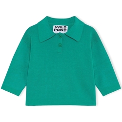 textil Dame Pullovere Wild Pony Knit 10603 - Green Grøn