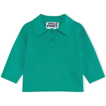 textil Dame Pullovere Wild Pony Knit 10603 - Green Grøn