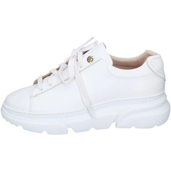 Sko Dame Sneakers Stokton EY883 Hvid