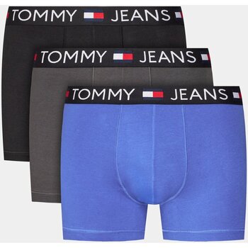 Undertøj Herre Trunks Tommy Jeans UM0UM03159 Flerfarvet