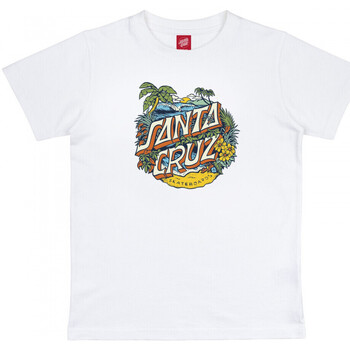 textil Dreng T-shirts & poloer Santa Cruz Youth aloha dot front Hvid