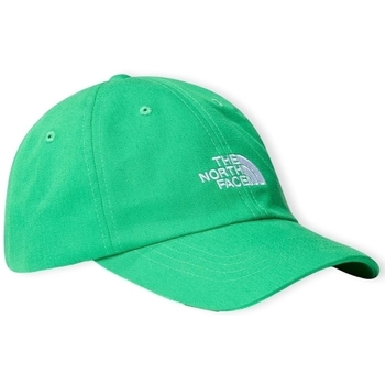 Accessories Herre Kasketter The North Face Norm Cap - Optic Emerald Grøn