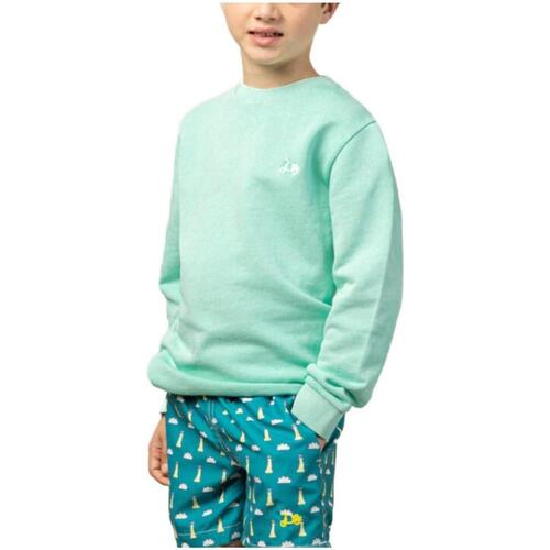 textil Dreng Sweatshirts Scotta  Grøn
