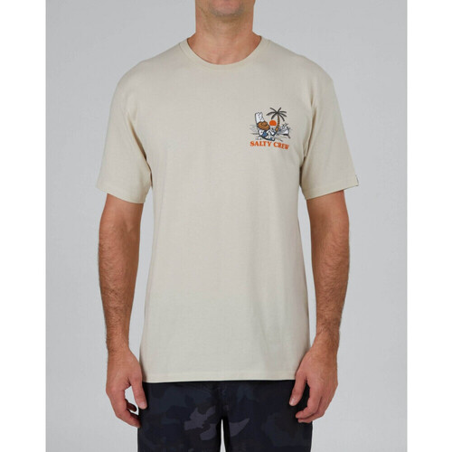 textil Herre T-shirts & poloer Salty Crew Siesta premium s/s tee Beige