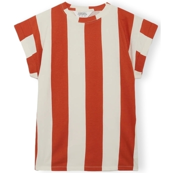 textil Dame Sweatshirts Compania Fantastica COMPAÑIA FANTÁSTICA T-shirt 42103 - White/Rust Orange