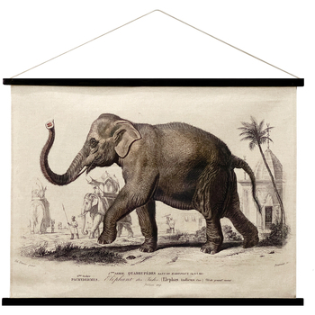 Indretning Malerier og lærreder Signes Grimalt Elephant Rollable Canvas Kaki