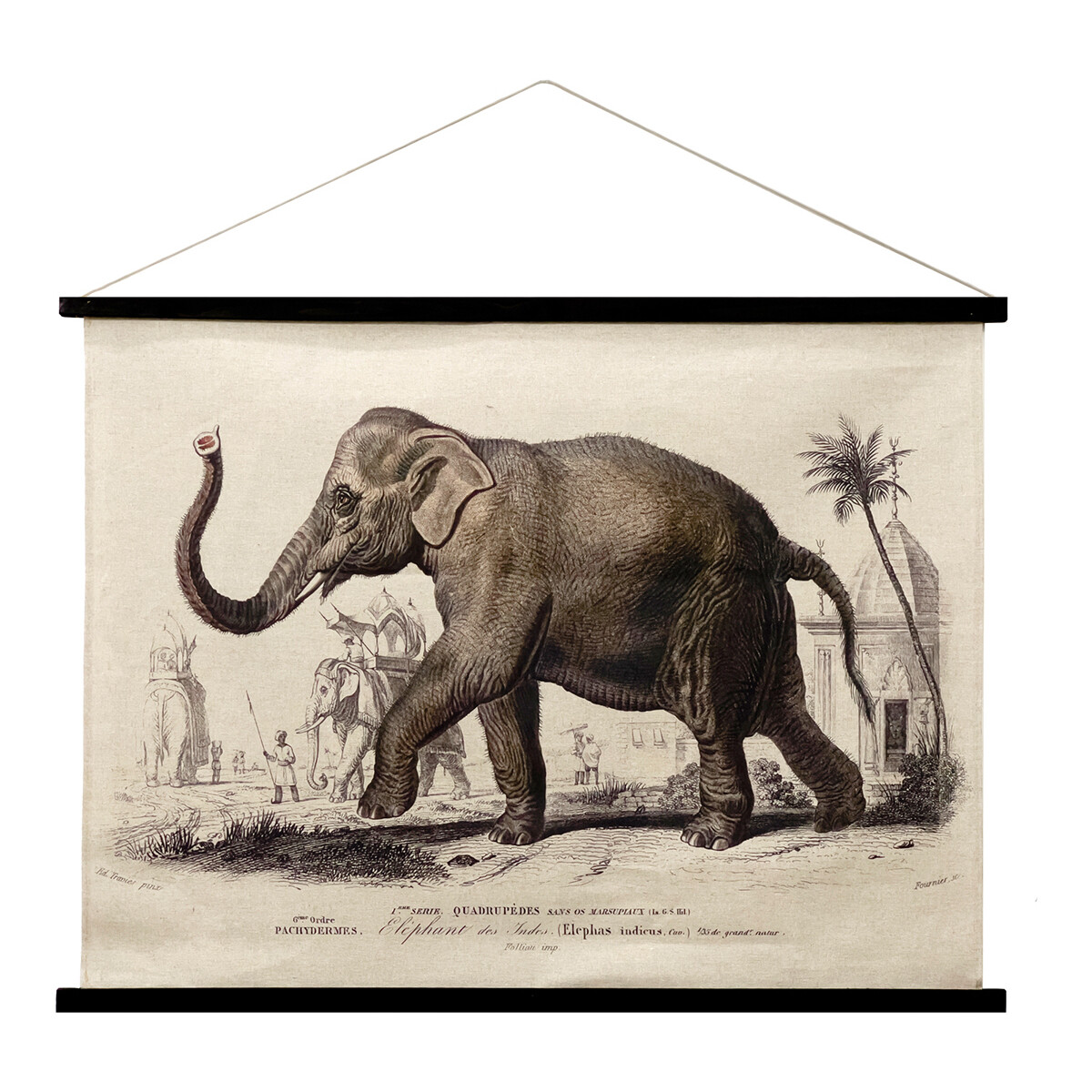Indretning Malerier og lærreder Signes Grimalt Elephant Rollable Canvas Kaki