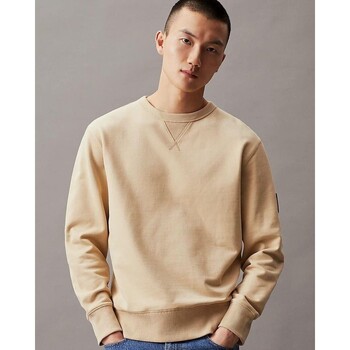 textil Herre Sweatshirts Calvin Klein Jeans J30J323426RAE Grøn