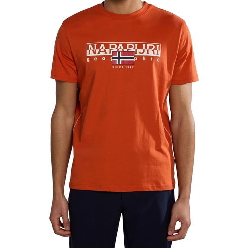textil Herre T-shirts m. korte ærmer Napapijri 236334 Orange