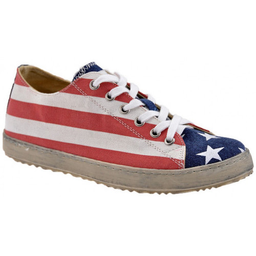 Sko Dame Sneakers F. Milano USA Flag  Low Andet