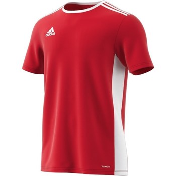 textil Herre T-shirts m. korte ærmer adidas Originals Entrada 18 Rød, Hvid