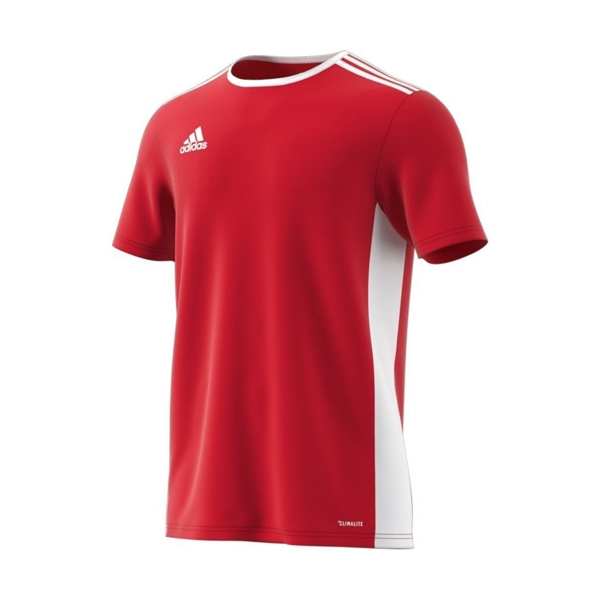 textil Herre T-shirts m. korte ærmer adidas Originals Entrada 18 Hvid, Rød