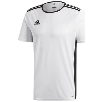 textil Herre T-shirts m. korte ærmer adidas Originals Entrada 18 Junior Hvid