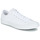 Sko Lave sneakers Converse ALL STAR CORE OX Hvid