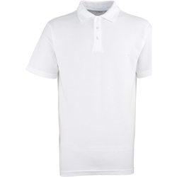 textil Herre Polo-t-shirts m. korte ærmer Premier Stud White