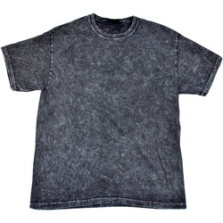 textil Herre T-shirts m. korte ærmer Colortone Mineral Black