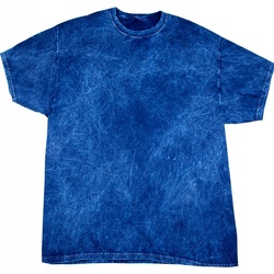textil Herre T-shirts m. korte ærmer Colortone Mineral Navy