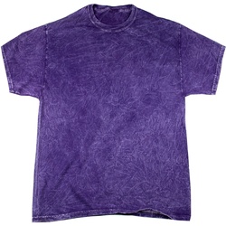 textil Herre T-shirts m. korte ærmer Colortone Mineral Purple