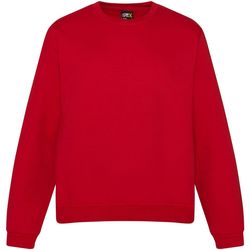textil Herre Sweatshirts Pro Rtx RTX Red