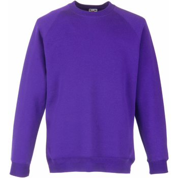 textil Børn Sweatshirts Fruit Of The Loom 62039 Purple