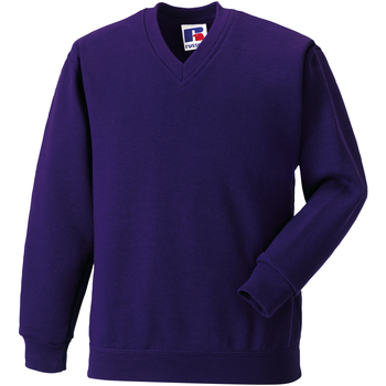 textil Børn Sweatshirts Jerzees Schoolgear 272B Violet