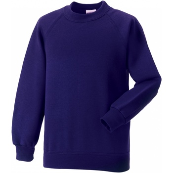 textil Børn Sweatshirts Jerzees Schoolgear 7620B Violet