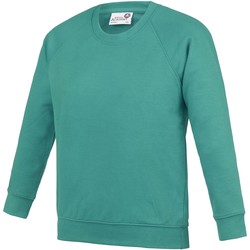 textil Børn Sweatshirts Awdis AC01J Emerald