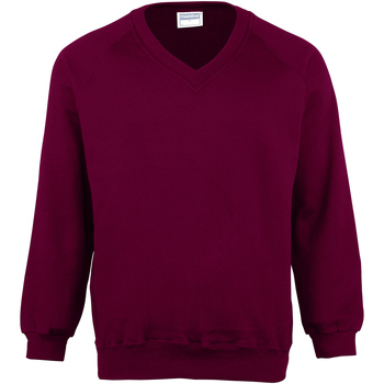 textil Børn Sweatshirts Maddins MD02B Burgundy